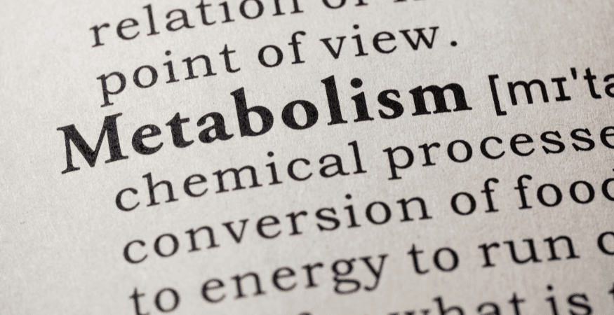 definition-of-metabolism