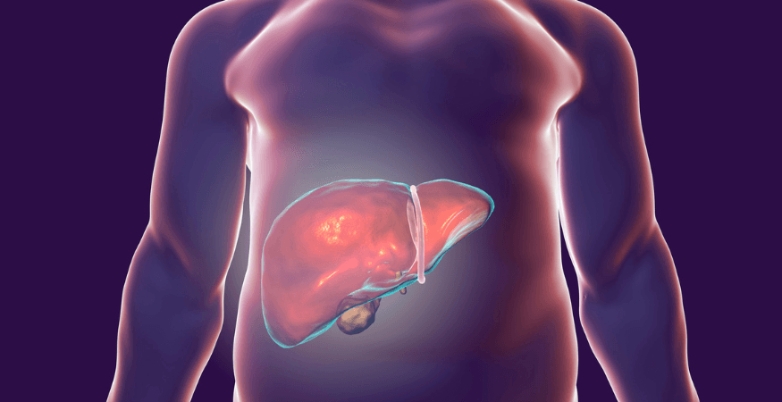 human-body-with-highlighted-liver