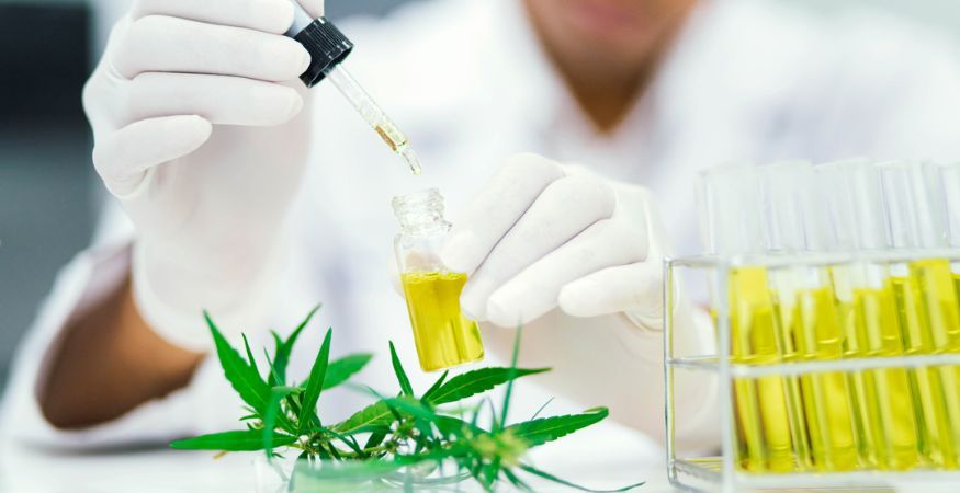 person-holding-glass-bottle-and-glass-pipette-with-CBD-oil.jpg