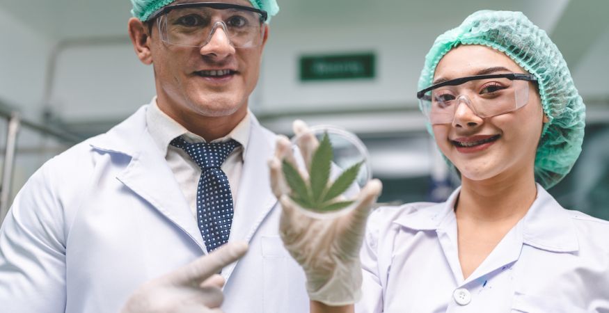man-and-woman-in-laboratory-holding-petri-dish-with-hemp-leaf-on-it.jpg