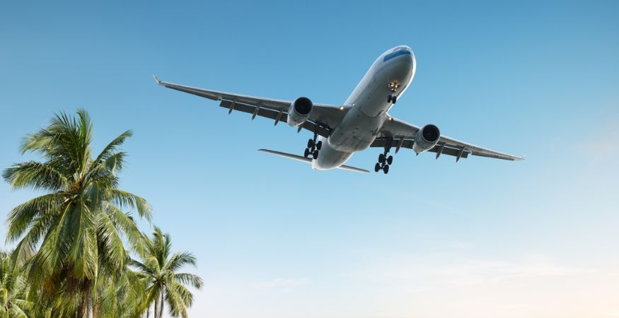 large-flying-jumbo-jet-against-blue-sky-with-palm-trees.jpg